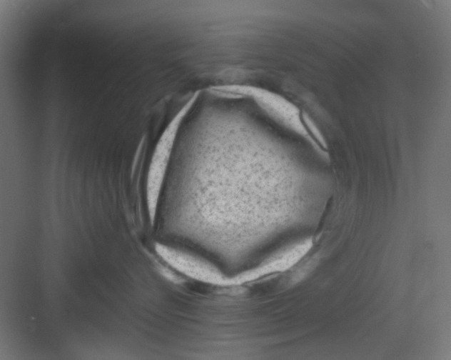 X0000081340576200702082232