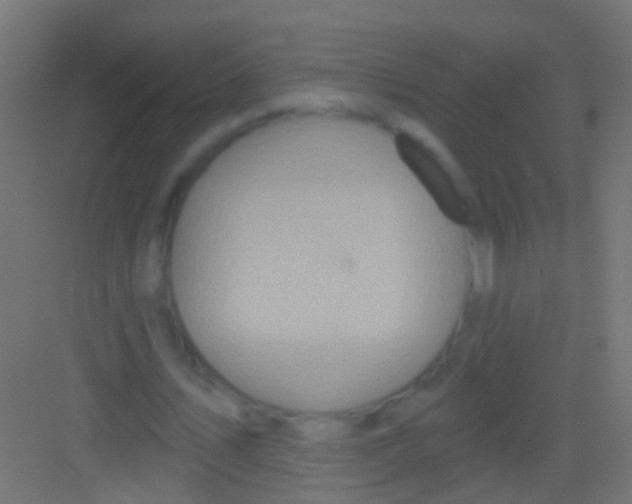 X0000081340579200702082231