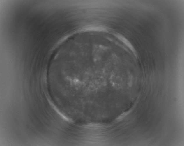 X0000081340581200702082231