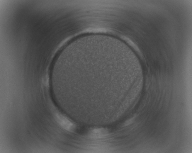X0000081340584200702082231