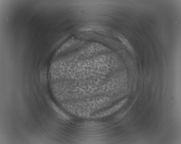 X0000081340585200702082231