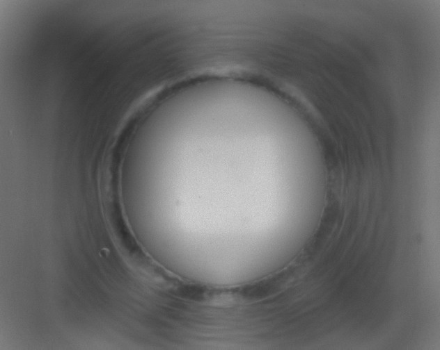 X0000081340587200702082231