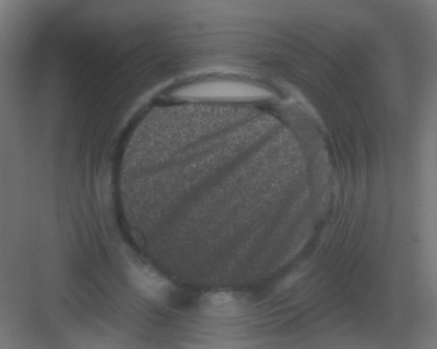 X0000081340588200702082231