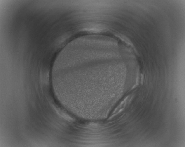 X0000081340596200702082231