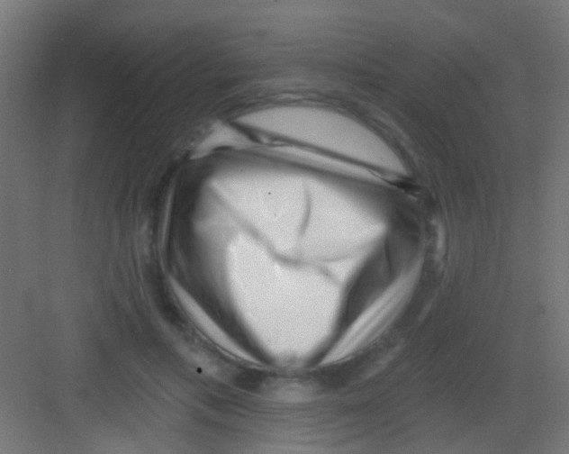 X0000081340597200702082231