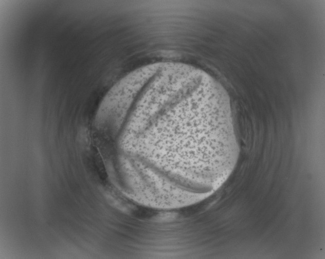 X0000081340609200702082230