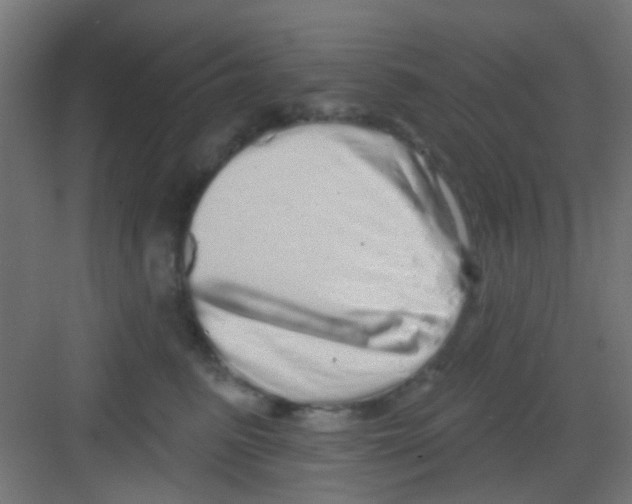 X0000081340615200702082230