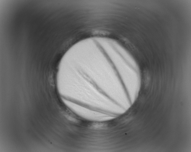 X0000081340619200702082230