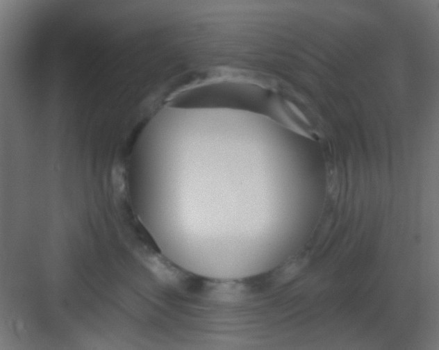 X0000081340621200702082230
