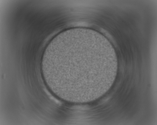 X0000081340625200702082229