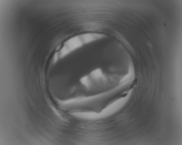 X0000081340626200702082229