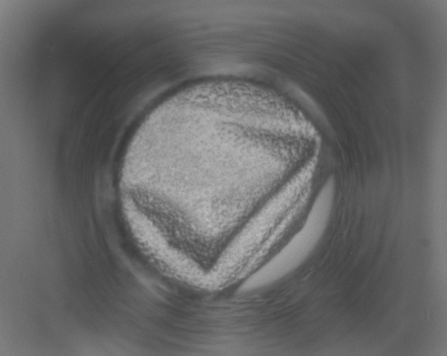 X0000081340628200702082229