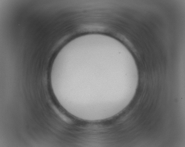 X0000081340629200702082229