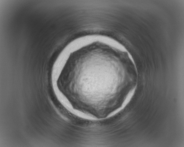 X0000081340638200702082230