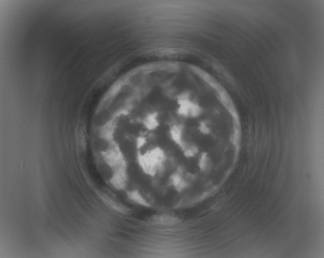 X0000081340644200702082230