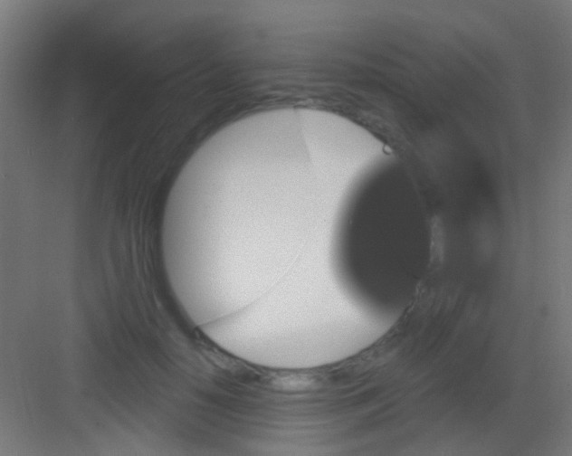 X0000081340650200702082230