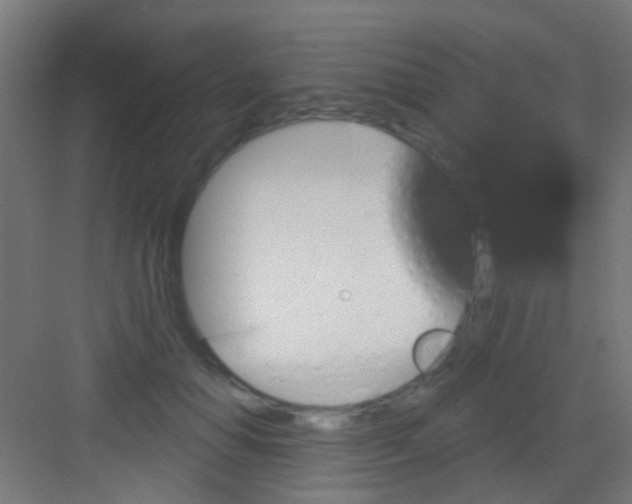 X0000081340654200702082230