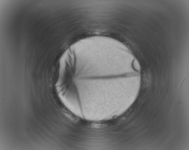 X0000081340657200702082230