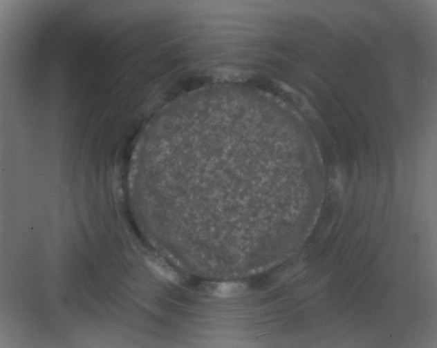X0000081340663200702082230