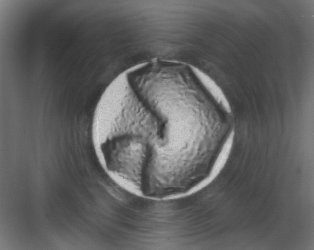 X0000081340664200702082230