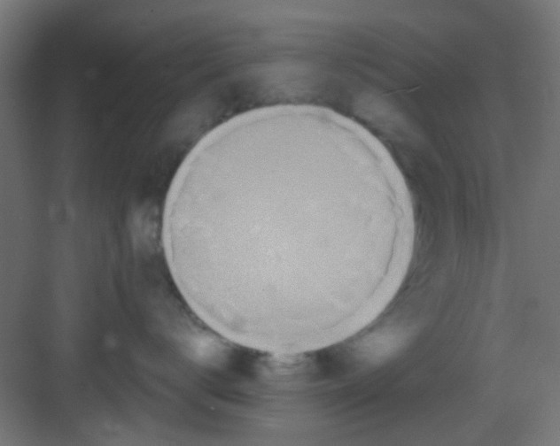 X0000081340672200702082230