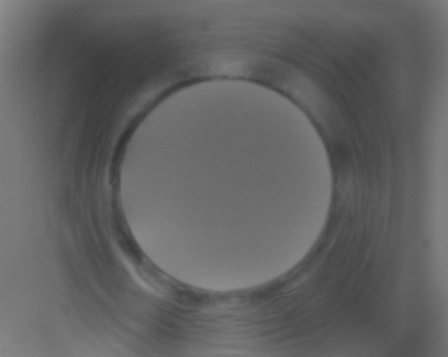 X0000081340674200702082229