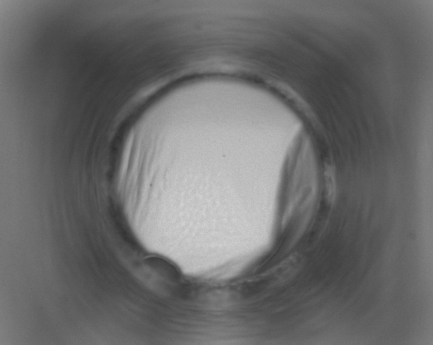 X0000081340675200702082229
