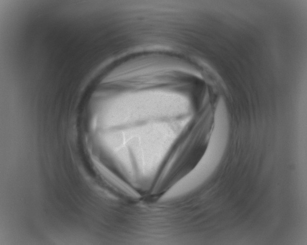X0000081340676200702082229