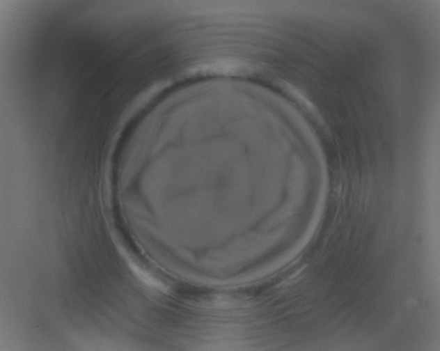 X0000081340678200702082229