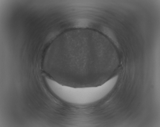 X0000081340681200702082229