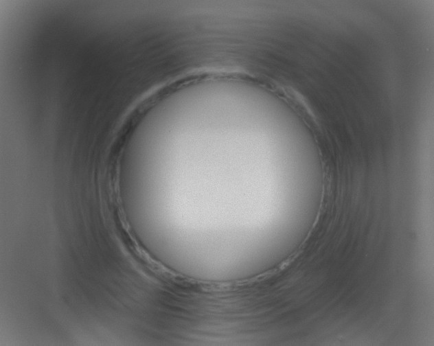 X0000081340684200702082229