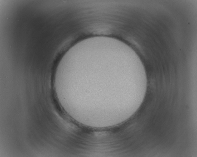 X0000081340686200702082229
