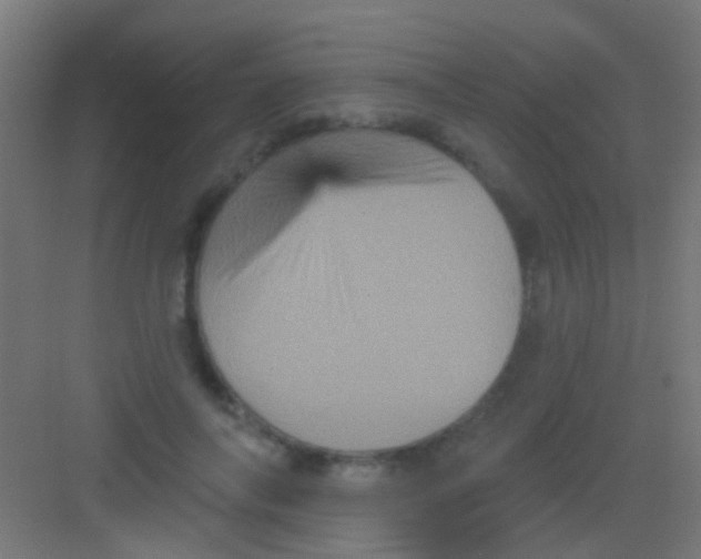 X0000081340694200702082229