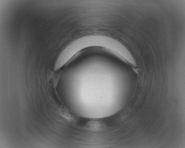 X0000081340704200702082229