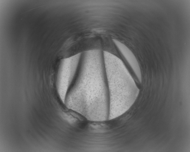 X0000081340712200702082229