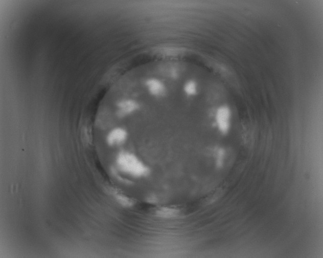 X0000081340718200702082229