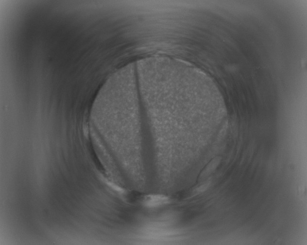 X0000081340719200702082228