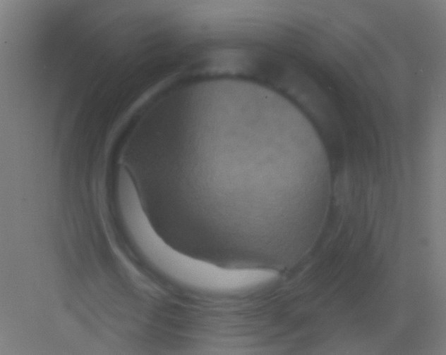 X0000081340722200702082228