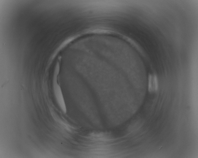 X0000081340723200702082228