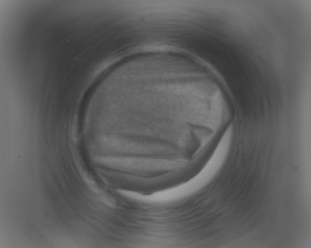 X0000081340724200702082228