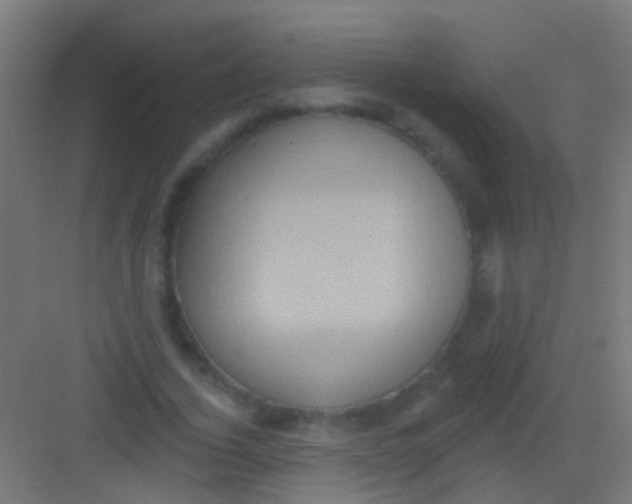 X0000081340732200702082228