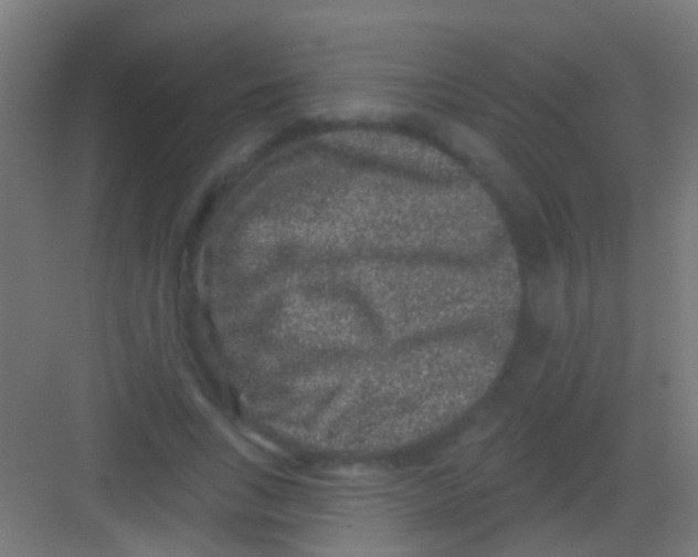 X0000081340735200702082228