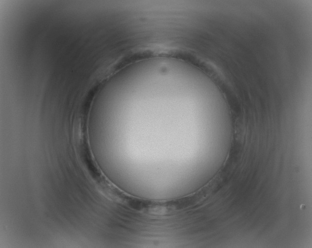 X0000081340740200702082228