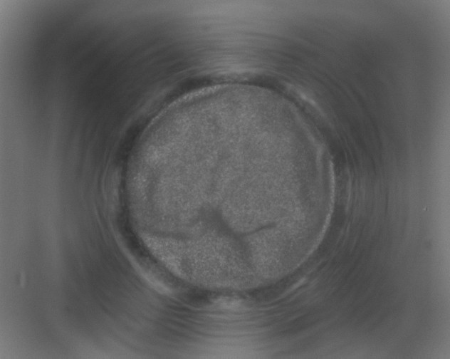 X0000081340742200702082228