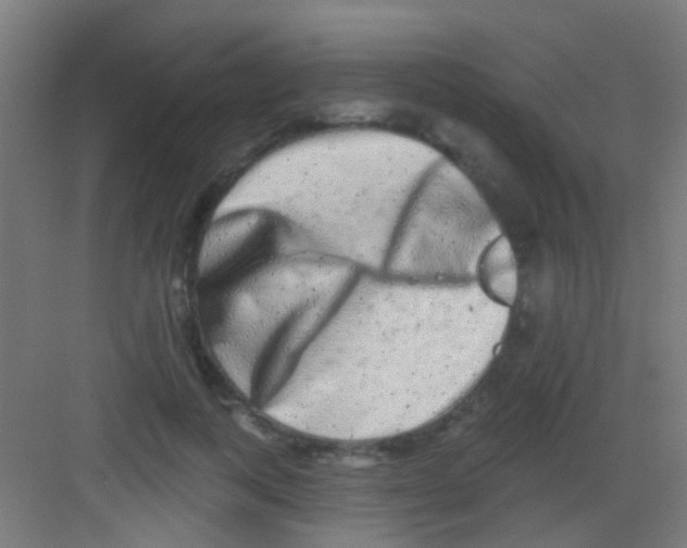 X0000081340743200702082228