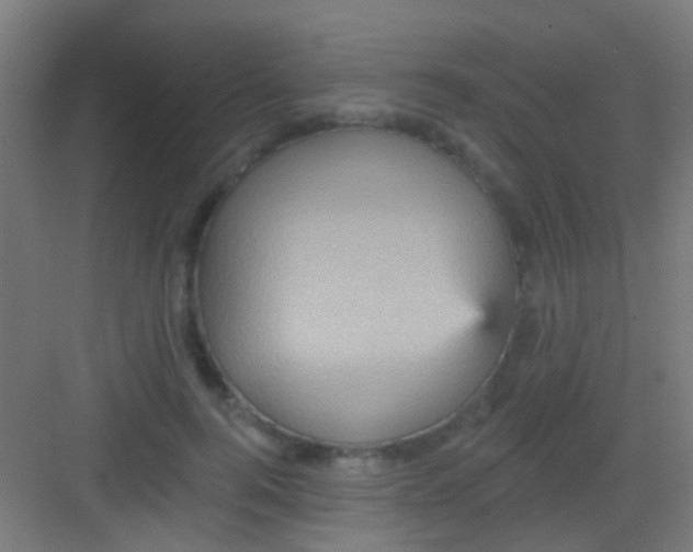 X0000081340744200702082228