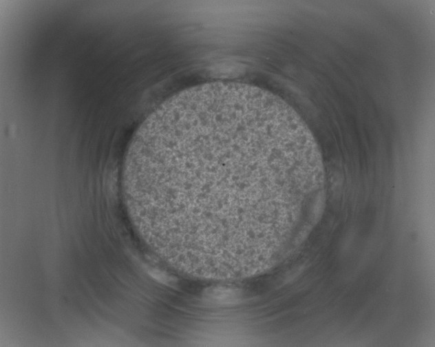 X0000081340745200702082228
