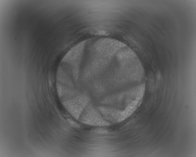 X0000081340747200702082228