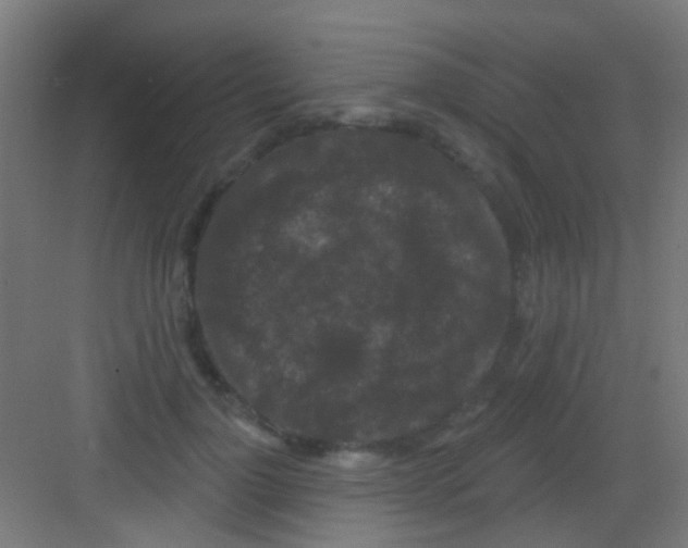 X0000081340748200702082228