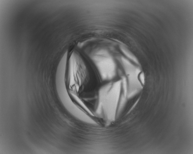 X0000081340750200702082228
